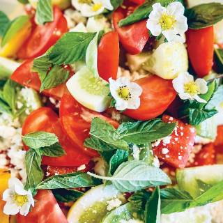 Tomato summer wallpaper