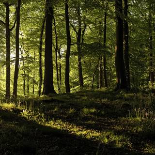 3840x1200 summer wallpaper