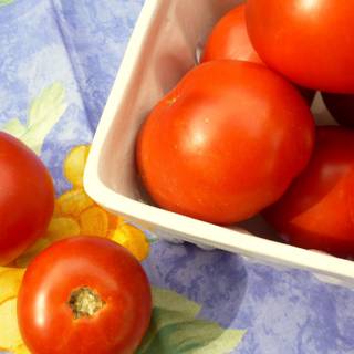 Tomato summer wallpaper