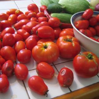 Tomato summer wallpaper