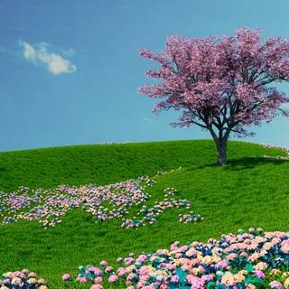 Nature spring PC wallpaper