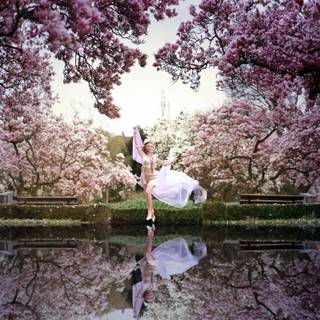 Nature spring PC wallpaper