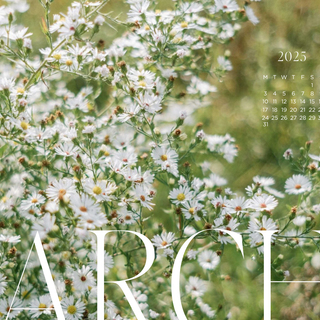 Nature spring PC wallpaper