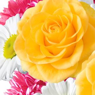 Phone spring flower wallpaper