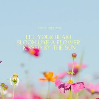 Nature spring PC wallpaper