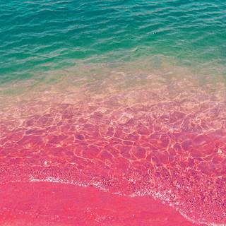 Pink summer PC wallpaper