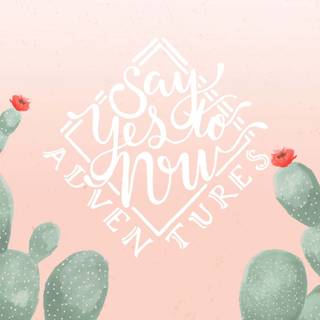 Pink summer PC wallpaper