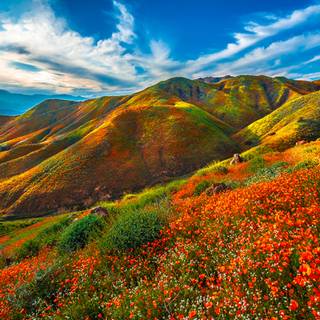 Nature spring PC wallpaper