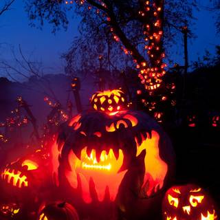 2000x3000 Halloween wallpaper