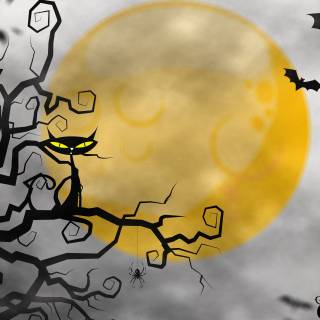 Halloween yellow moon wallpaper