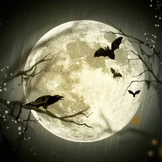 Halloween yellow moon wallpaper