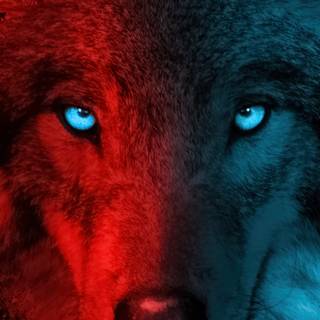 4k dark vertical wallpaper