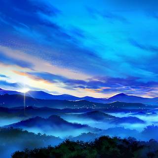 Forest 4k anime wallpaper