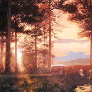 Forest 4k anime wallpaper