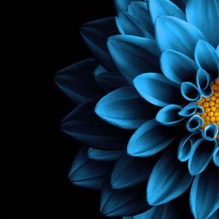 4k mobile oled wallpaper