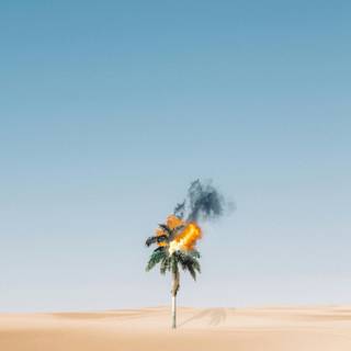 Aesthetic minimalist 4k wallpaper