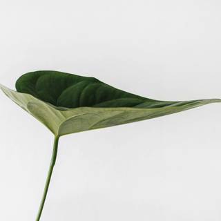 Aesthetic minimalist 4k wallpaper