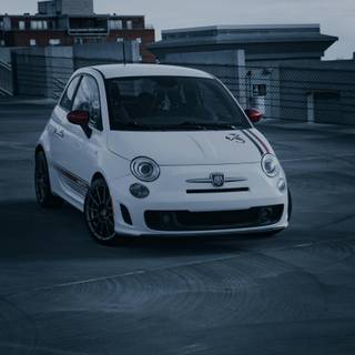 Fiat phone wallpaper