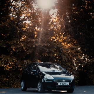 Fiat phone wallpaper