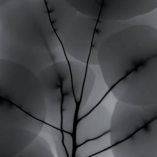 Nothing Phone 3 wallpaper