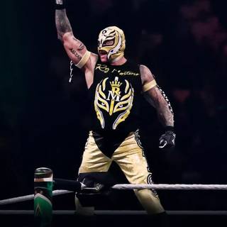 Wrestling phone wallpaper