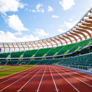 Track and field iPhone wallpaper