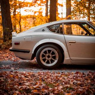 Datsun phone wallpaper