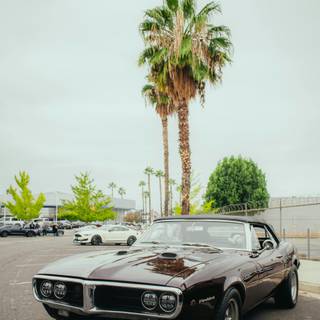 Pontiac iPhone wallpaper