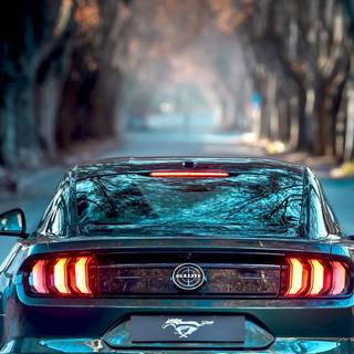 Ford Mustang logo iPhone wallpaper