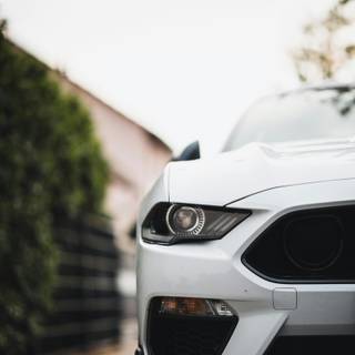 Ford Mustang logo iPhone wallpaper