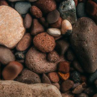 Earth tone desktop wallpaper