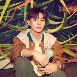 Sunwoo desktop wallpaper