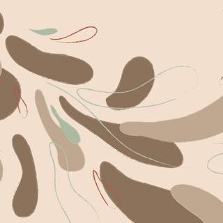 Earth tone desktop wallpaper