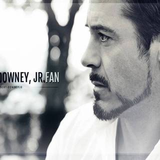 Robert Downey Jr. desktop wallpaper