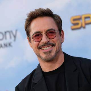 Robert Downey Jr. desktop wallpaper