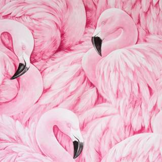 Flamingo desktop wallpaper