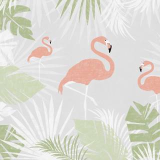 Flamingo desktop wallpaper