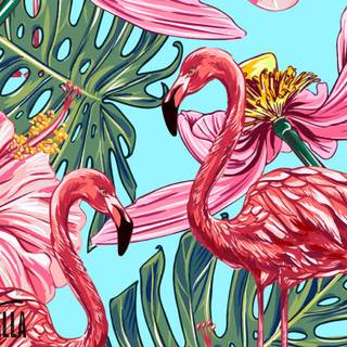Flamingo desktop wallpaper