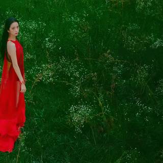 Kim Jisoo desktop wallpaper