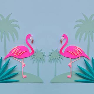 Flamingo desktop wallpaper