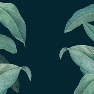 Dark green mobile wallpaper