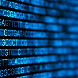 Bioinformatic wallpaper