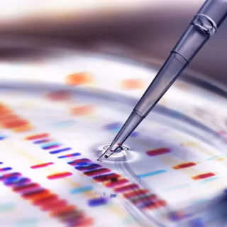 Bioinformatic wallpaper