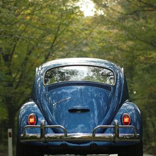 Beetle car 4k phone wallpaper