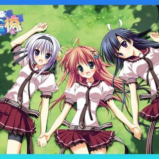 Hoshizora e Kakaru Hashi wallpaper