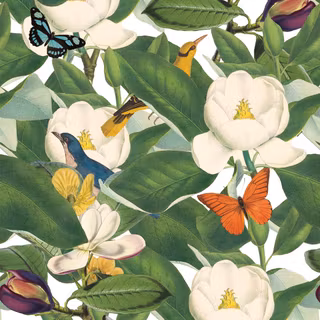 Flower bloom wallpaper