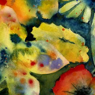 Adrianne Lenker computer wallpaper