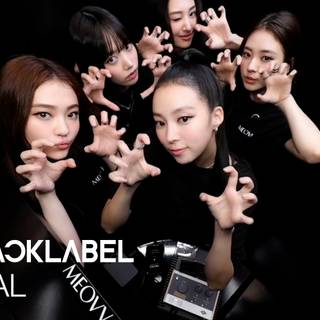 Meovv desktop wallpaper