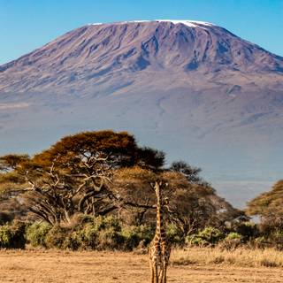 Mount Kilimanjaro wallpaper