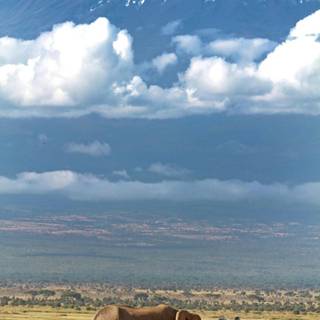 Mount Kilimanjaro wallpaper